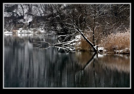 И снова картинки из Лисьего сейвера :)