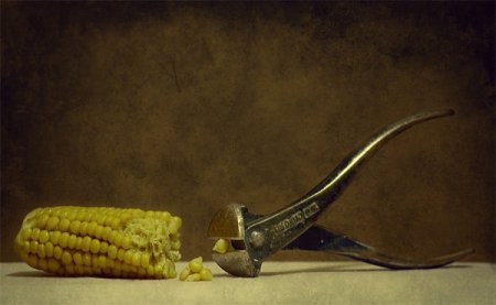 Фотограф George Rustchev