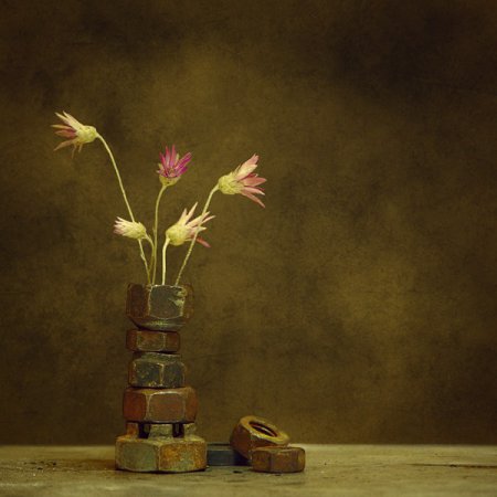 Фотограф George Rustchev