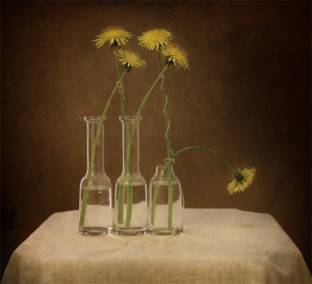 Фотограф George Rustchev