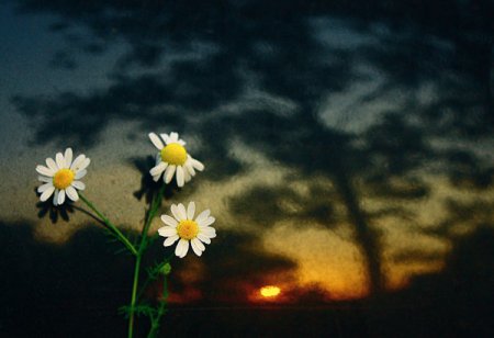 Фотограф George Rustchev