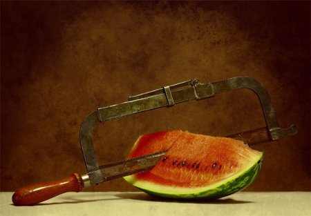 Фотограф George Rustchev
