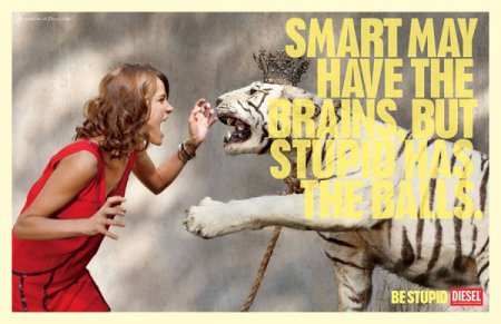 Be Stupid