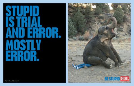 Be Stupid