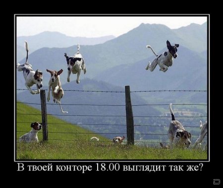 Демотиваторы