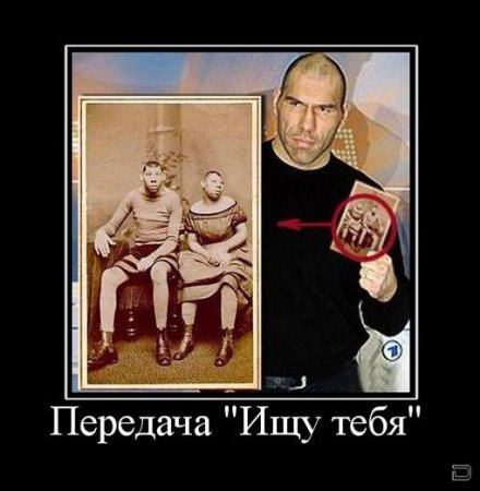 Демотиваторы