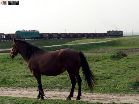 Российские железные дороги