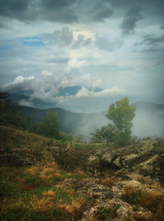 Фотограф Юрий Гуляев
