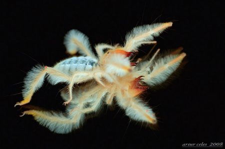 Фотограф Artur Celes. Часть 2