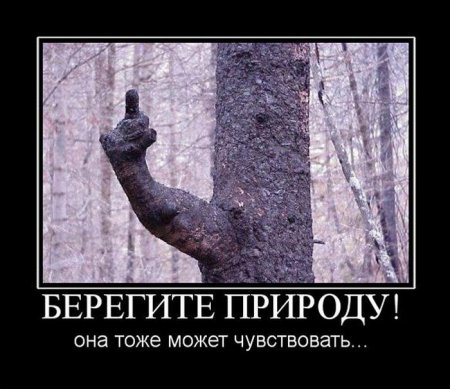 Прикольная подборка демотиваторов