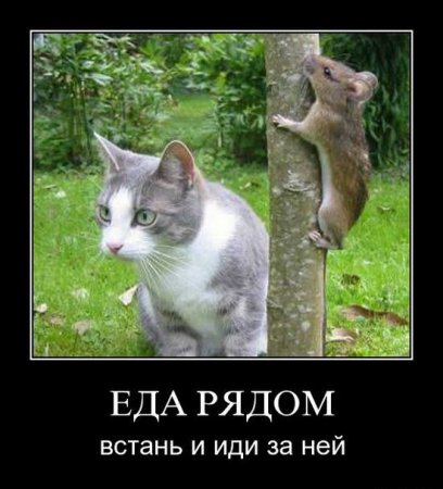 Прикольная подборка демотиваторов
