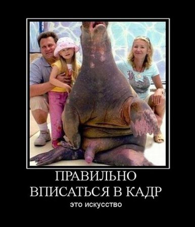 Демотиваторы