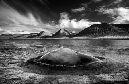 Фотограф Maciej Duczynski