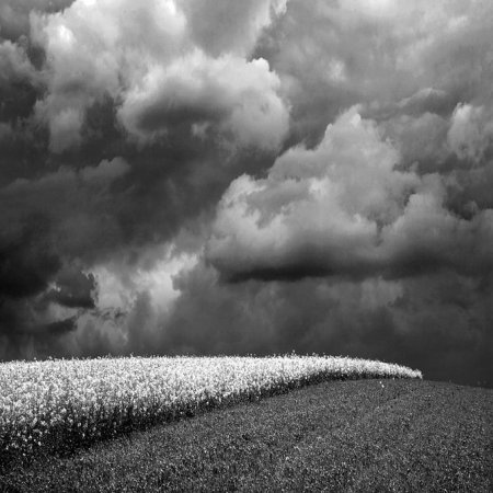 Фотограф Maciej Duczynski