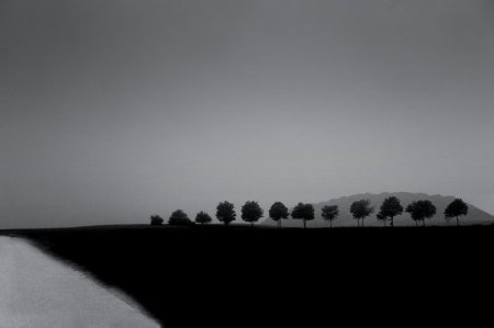 Фотограф Chris Friel
