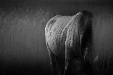 Фотограф Chris Friel