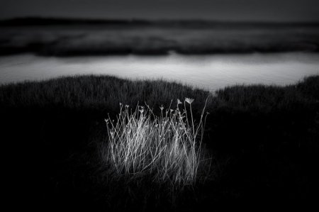 Фотограф Chris Friel