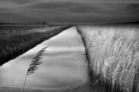 Фотограф Chris Friel