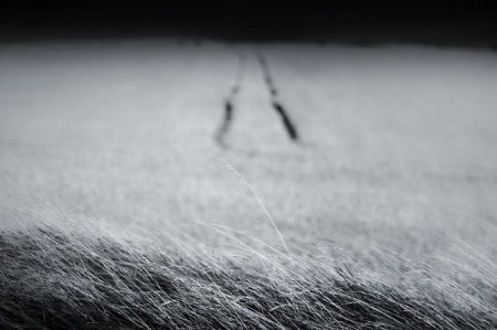 Фотограф Chris Friel