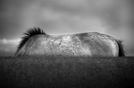 Фотограф Chris Friel