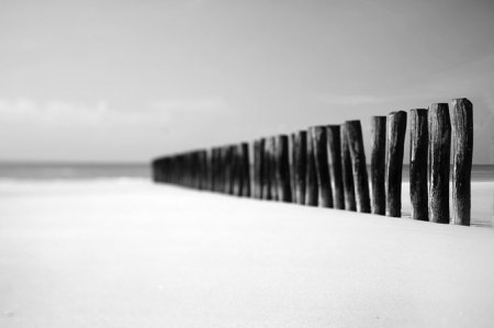 Фотограф Chris Friel