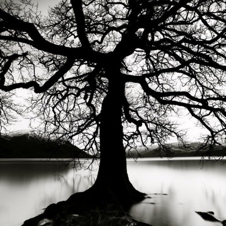 Фотограф Michel Rajkovic