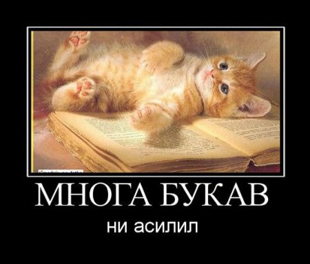 Демотиваторы