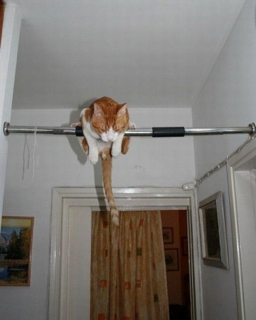 Приколы