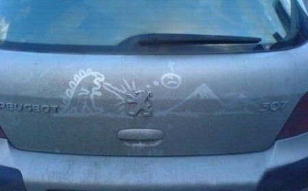 Приколы