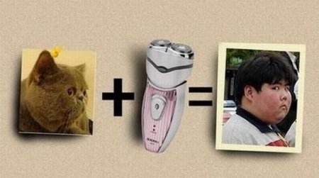 Приколы