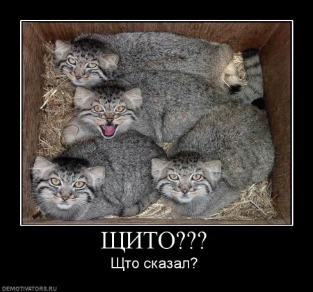 Демотиваторы