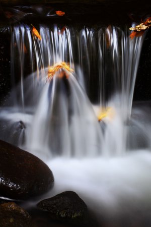 Фотограф NestR