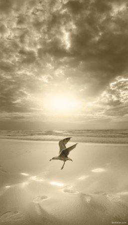 Фотограф Ben Heine