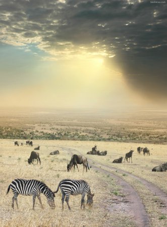 Фотограф Ben Heine
