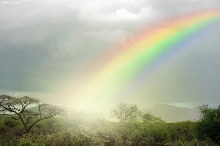 Фотограф Ben Heine