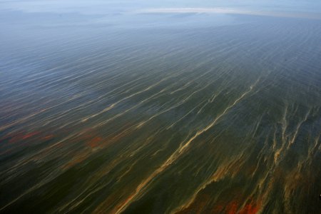 Утечка нефти в Мексиканском заливе