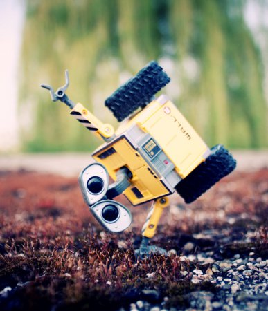 Wall-E и Danbo. Фотограф T|F|F