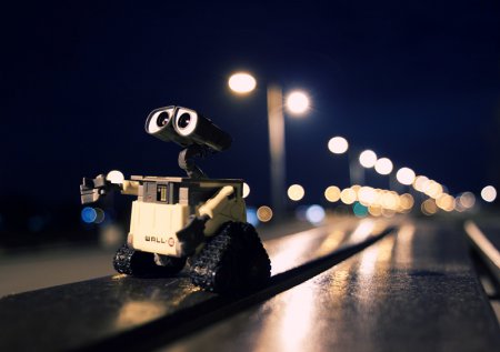 Wall-E и Danbo. Фотограф T|F|F