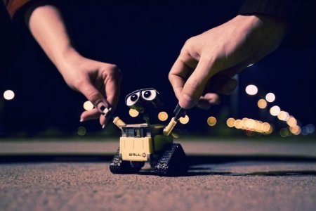 Wall-E и Danbo. Фотограф T|F|F
