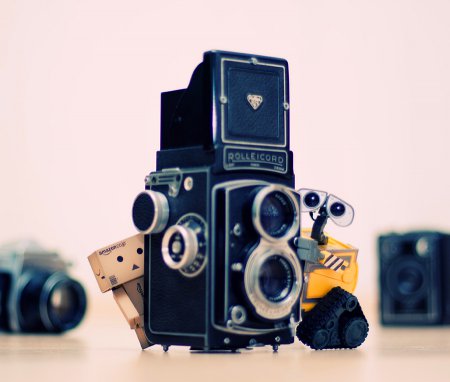 Wall-E и Danbo. Фотограф T|F|F