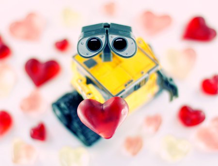 Wall-E и Danbo. Фотограф T|F|F