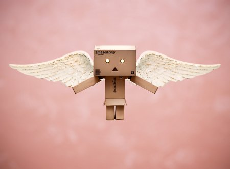 Wall-E и Danbo. Фотограф T|F|F