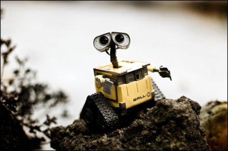 Wall-E и Danbo. Фотограф T|F|F