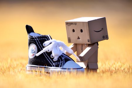 Wall-E и Danbo. Фотограф T|F|F