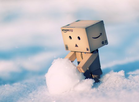 Wall-E и Danbo. Фотограф T|F|F