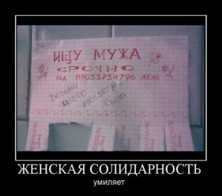 Демотиваторы