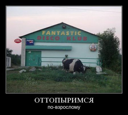 Демотиваторы