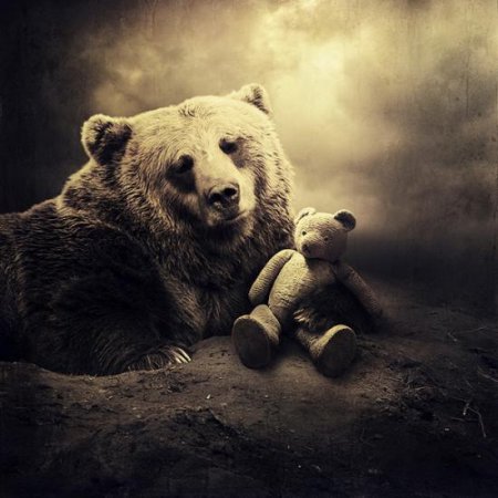 Фотограф Sarolta Bán