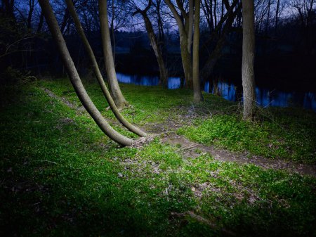 Фотограф Harold Ross. Ночь