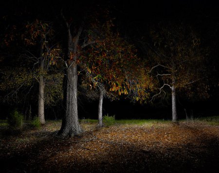 Фотограф Harold Ross. Ночь